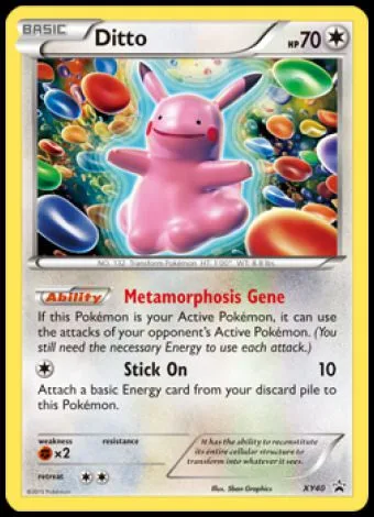 XY40 Ditto