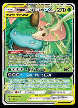 1/264 Venusaur & Snivy