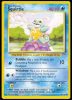 95/110 Squirtle