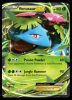 XY28 Venusaur