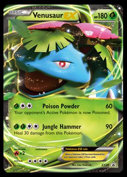 XY28 Venusaur