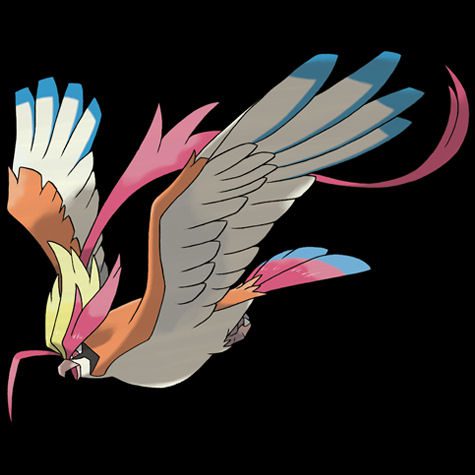 Mega Pidgeot