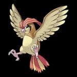 Pidgeotto Eolution