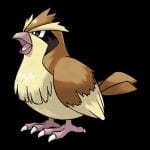 Pidgey Pokédex