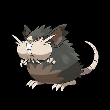 Alolan Raticate