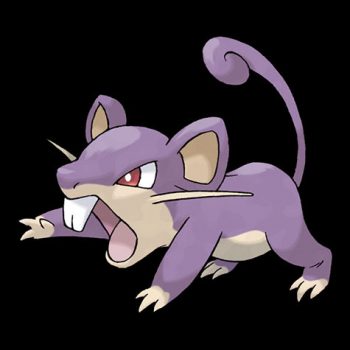 Rattata Evolution