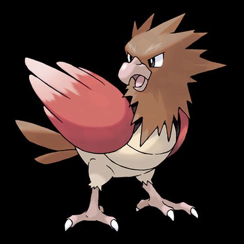 Spearow Pokédex