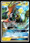 47/145 Tapu Koko