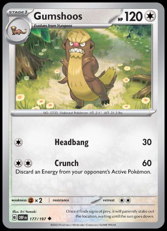 177/197 Gumshoos