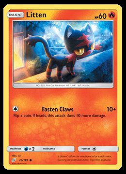 20/181 Litten