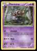 54/146 Phantump