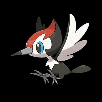 Pikipek Pokémon