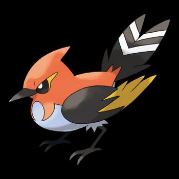 Fletchinder Pokémon