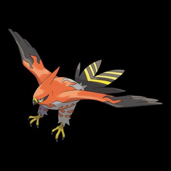 Talonflame Pokémon