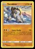 097/195 Terrakion