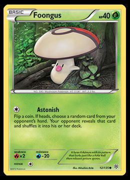 12/135 Foongus