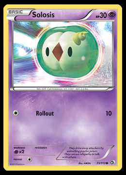 73/113 Solosis