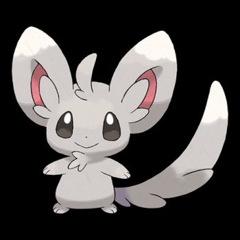 Minccino Evolution