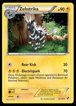 43/114 Zebstrika