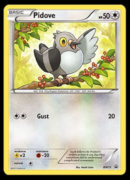 BW15 Pidove