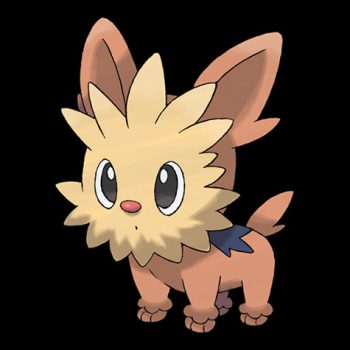 Lillipup Pokémon