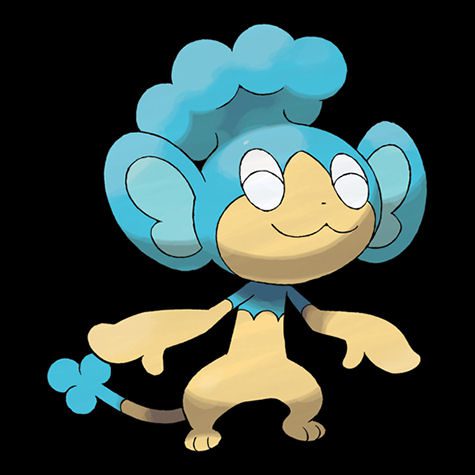 Panpour Pokédex