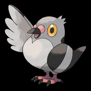 Pidove Pokémon