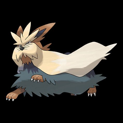 Stoutland Pokédex