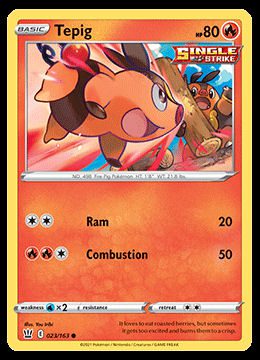 023/163 Tepig