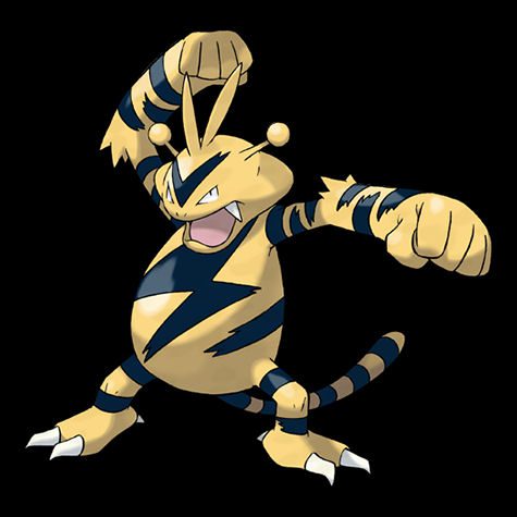 Electabuzz Pokémon
