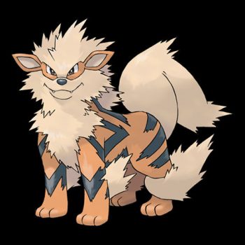 Arcanine Pokémon