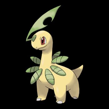 Bayleef Pokédex