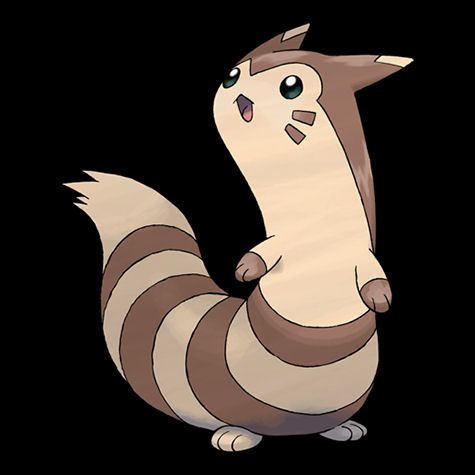 Furret Pokédex