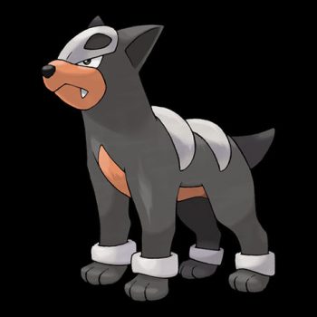 Houndour Pokémon