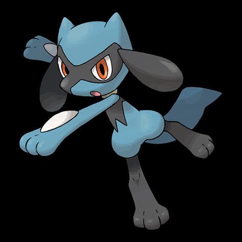 Riolu Pokédex