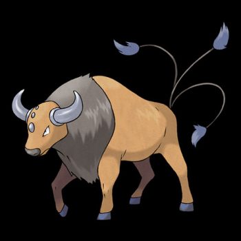 Tauros Pokédex