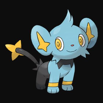 Shinx Pokémon