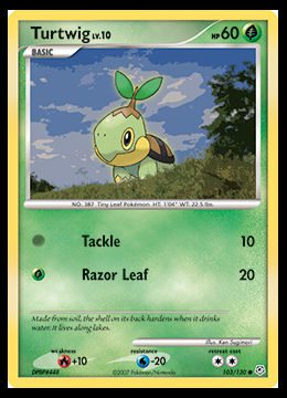 103/130 Turtwig