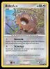 11/17 Bidoof