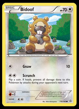 116/160 Bidoof