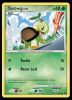 17/17 Turtwig