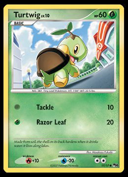 17/17 Turtwig