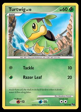 17/17 Turtwig
