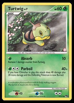 17/17 Turtwig