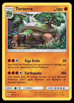 58/131 Torterra