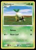 77/100 Turtwig