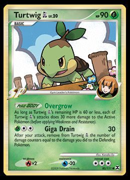 85/111 Turtwig