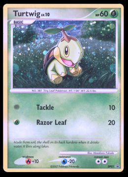 DP01 Turtwig