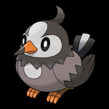 Starly Pokémon