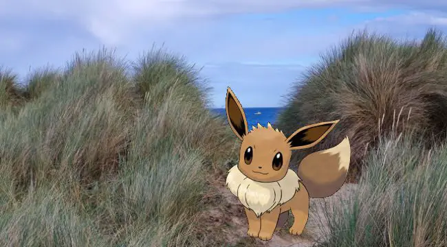 Eevee cute Pokémon